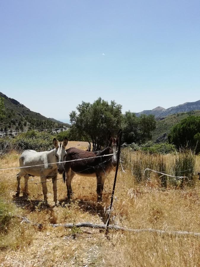 פריחיליאנה B&B The Lost Village El Acebuchal מראה חיצוני תמונה